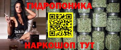 гидра Берёзовский