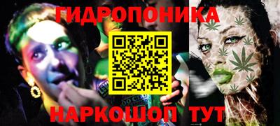 гидра Берёзовский