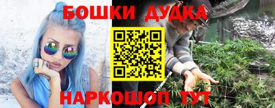крисы Будённовск